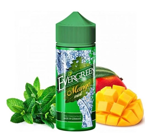 Evergreen 30ml Longfill Mango Mint